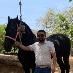 Meet your Posher, Gil